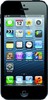 Apple iPhone 5 16GB - Сочи